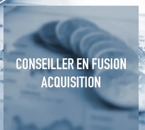 Formation d'un Conseiller en fusion acquisition