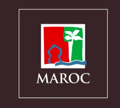 PLAN D'ACTION 2019 : LE GRAND VIRAGE DIGITAL DE L'ONMT