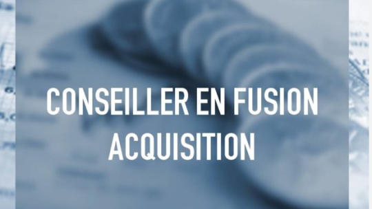 Formation d'un Conseiller en fusion acquisition