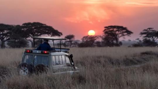 QUEL AVENIR POUR LE TOURISME EN AFRIQUE ?